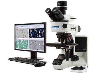 奧林巴斯BX53M金相顯微鏡